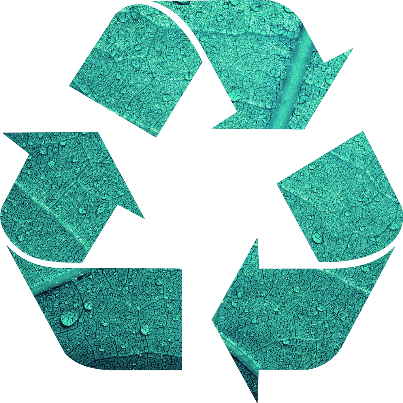 Refuse Derived Fuel 